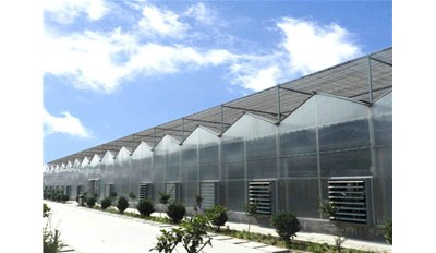 溫室大棚設施農業發展趨勢、方向